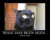 Scarred for life cat what is seen can't be unseen.jpg