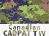 Canadian-CADPAT-Camo1.gif