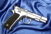 CZ75BStainess9mm2.jpg