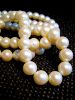 450px-White_pearl_necklace.jpg