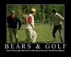 Bears & Golf.jpg