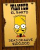 Bart.jpg