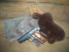 Colt-380-moose.jpg