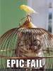 funny-pictures-bird-cat-cage.jpg