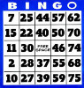 bingo-card.jpg
