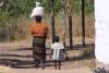 zim20085.jpg zim20085.jpg