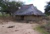 zim20089.jpg zim20089.jpg