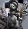KittySniper.jpg