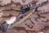 m14se.009.jpg