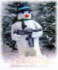 SnowmanGunWeb.jpg