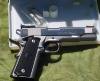 Para-Ord45.jpg