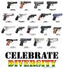 Firearms_Rights_-Celebrate_Diversity.jpg