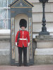 buckingham-palace-guard.jpg