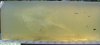 M-855 Bare gelatin block.JPG