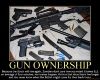 500px-Gun-ownership-demotivational-poster.jpg