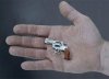 tiny revolver.jpg