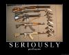 seriouslyallguns.jpg