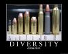 diversity.jpg