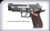 Custom P226  Elite 9mm.JPG