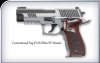 Custom P226 Elite ST 9mm.JPG