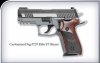 Custom P229 Elite ST 9mm.jpg