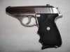 Sig P232 Stainless w NS and Hogues2.jpg