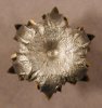 blacktalon 010.jpg