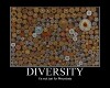 DiversityAmmo.jpg