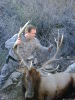 elkpics022.jpg