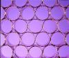 hexagonal-close-packing-coppery-metallic-pipes-cylinders-blue-purple-backdrop-1-AJHD.jpg