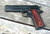 Colt-19112.jpg