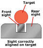 sight_alignment_correct.jpg