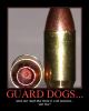 Guarddog.jpg