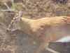 DSC02492.jpg