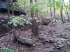 2012-10-13161311.jpg