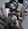 KittySniper.jpg