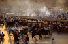 RM-Crowded-Horse-Cart-Market-Marrakesh-Stalls-ARC010.jpg