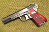 TT33_Marschal_Grips_L.jpg