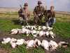 224802d1479851437-booked-goose-hunt-ilvxgz.jpg