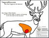 deer-target-shooting-white-outline-targets4free-snip.jpg