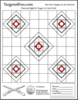 Sight-in-Target-w-Grid-233x300.png