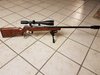 20170317_043323.jpg