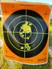 04 30 18 SW22 pistol 7 yards 10 rounds low plus 40 high GB small.jpg