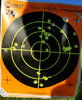 06 09 18 Savage A22 Golden Bullets 50 yards plus some shots from other rifle small.jpg
