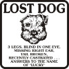 Lost+Dog+-+Lucky_novelty_640.jpg