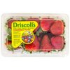 0043920_strawberries-container-16-oz.jpeg