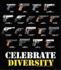 Celebrate Diversity.JPG