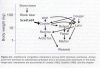 food chain.gif