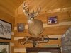 Deer hawken rifle.jpg
