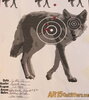 Coyote target.jpg